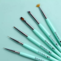 6 pc Nail Art Brush Set
